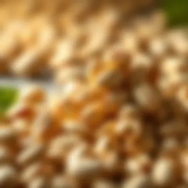 Magnificent The Nutritional Value and Health Benefits of Pistachios Magnificent The Nutritional Value and Health Benefits of Pistachios