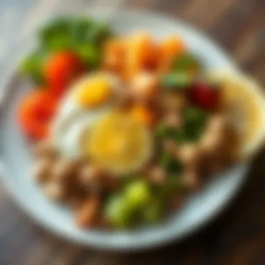 Balanced meal plate showcasing macronutrient distribution