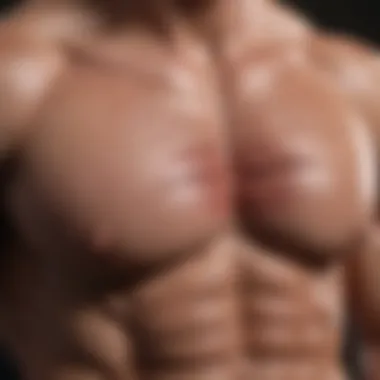 Chest Muscle Anatomy Detailed diagram showcasing the chest muscle anatomy