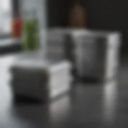 Stainless steel meal prep containers showcasing their sleek design