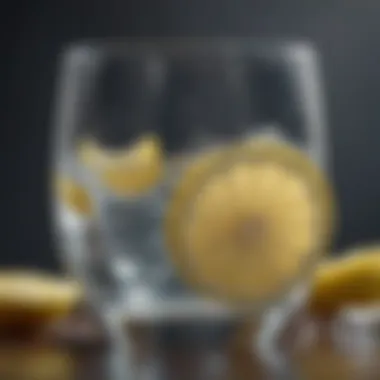 An inviting glass of crystal clear water with lemon slices