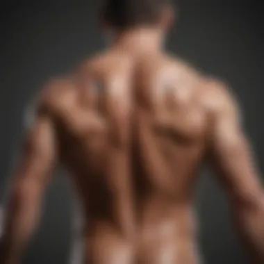 Understanding Back Anatomy Anatomy diagram showcasing the muscles of the back