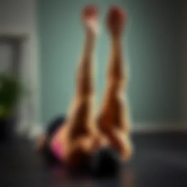 Abdominal Crunch Technique Abdominal crunch technique illustrated