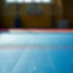 Freshly cleaned gym mat with sparkling surface