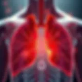 Visualization of healthy lungs