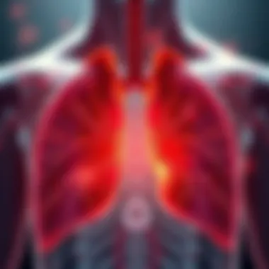 Visualization of healthy lungs