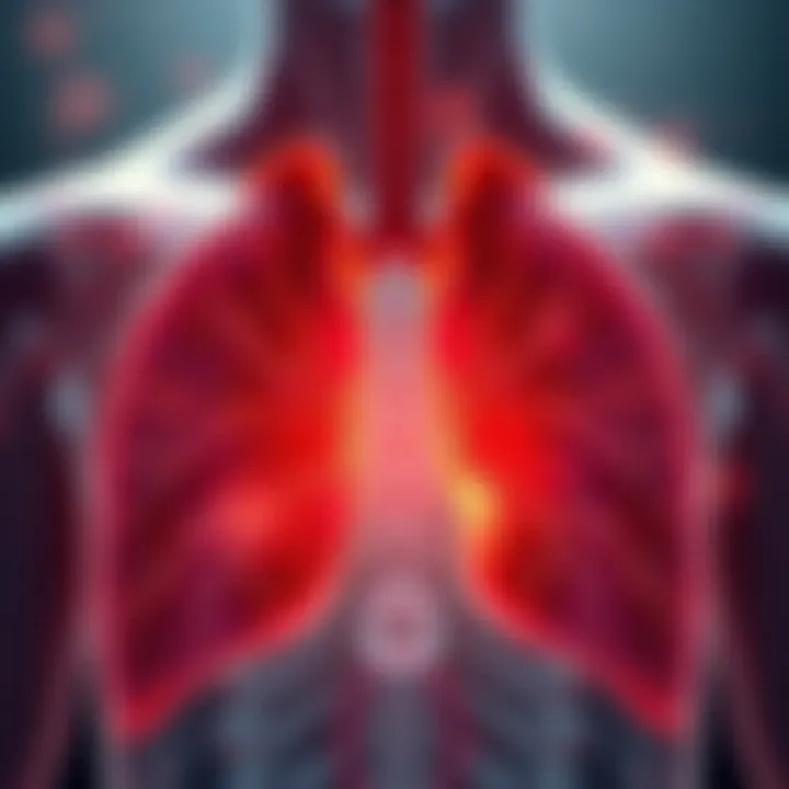 Visualization of healthy lungs