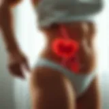 Understanding Love Handles Anatomy Illustration of love handles anatomy