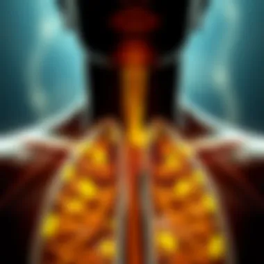 Understanding Mucus Production in the Respiratory System Illustration depicting the respiratory system with emphasis on mucus production
