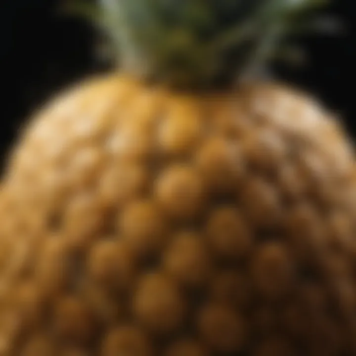 Close-up of pineapple showcasing its unique texture and color