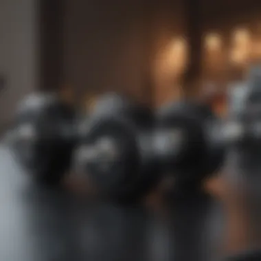 Top-Rated Adjustable Dumbbells Collection A stylish display of top-rated adjustable dumbbells