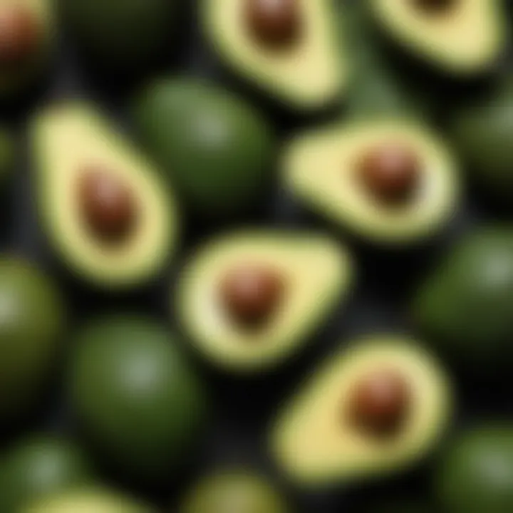 A vibrant assortment of avocados showcasing their creamy texture and rich nutrients.