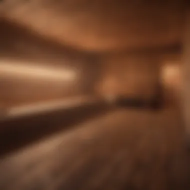 Public Spa Sauna Experience Public spa featuring sauna facilities