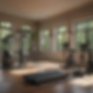 Overview of Home Workout Machines Overview of different full body workout machines lined up
