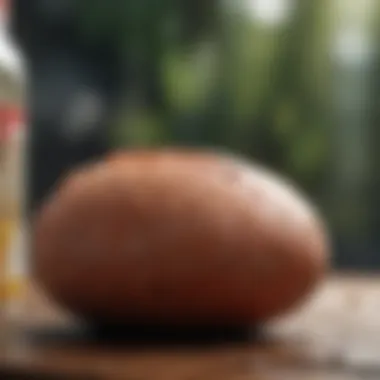 Natural Ingredients in Premium Vitamins Natural ingredients for vitamins