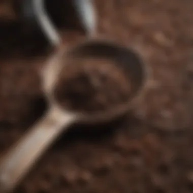 Close-up of coffee grounds with a measuring scoop