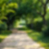 A vibrant path winding through a lush green park, symbolizing the journey of wellness.