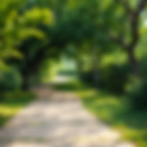 A vibrant path winding through a lush green park, symbolizing the journey of wellness.