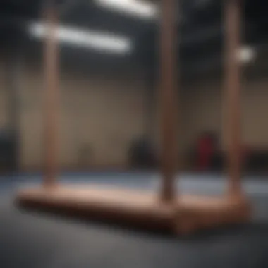 Close-up of a doorway gymnastics bar set up