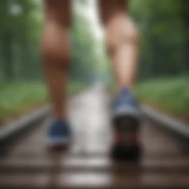 Transformational Goals Through Walking Visual representation of weight loss journey