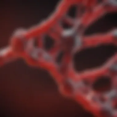 Illustration of testosterone molecular structure