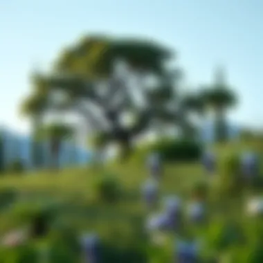 A serene scene of nature, symbolizing the holistic approach to heart health through diet and lifestyle.