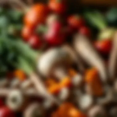 A colorful arrangement of root vegetables highlighting their diversity