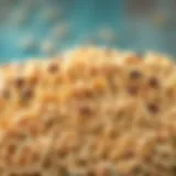 A vibrant array of whole grains showcasing their texture and color