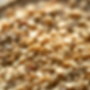Close-up of oats and chia seeds showcasing their fiber content