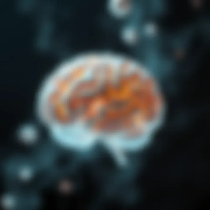 Visual representation of brain function and omega-3