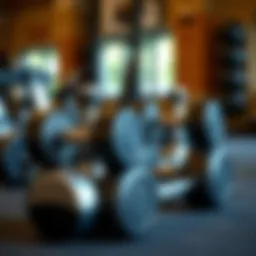 High-quality adjustable dumbbells for strength training