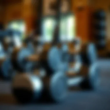 High-quality adjustable dumbbells for strength training