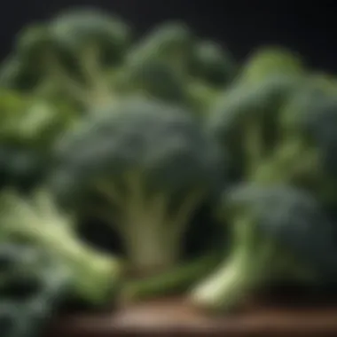 Broccoli and other cruciferous vegetables