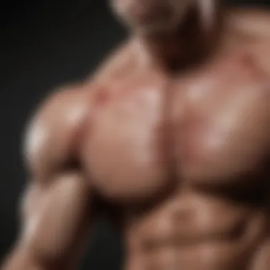 Understanding Muscle Fibers Anatomical representation of muscle fibers