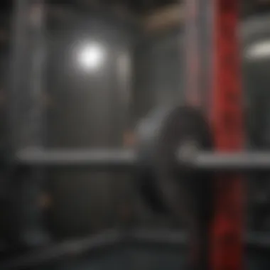 Close-up view of safety features on a squat rack.