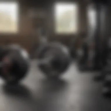 Strength Training Equipment for Muscle Building A well-equipped gym showcasing various strength training equipment