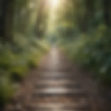 Embracing Nature: The Perfect Walking Environment Scenic walking path surrounded by nature