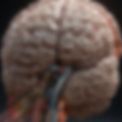 Close-up of a brain scan highlighting concussion effects