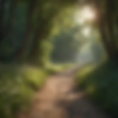 Finding Balance in Nature's Embrace A serene nature path suitable for walking or jogging