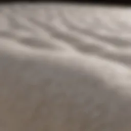 Luxurious memory foam mattress topper showcasing its plush texture