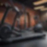 A variety of cardio machines in a modern gym setting