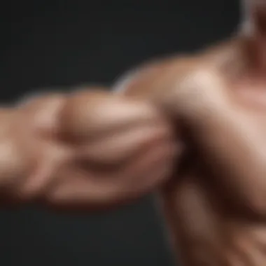 Understanding the Arm Muscle Anatomy Anatomy of arm muscles illustrated in detail