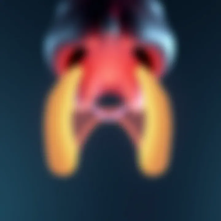 Nasal Health and Care Illustration of nasal passages highlighting health care