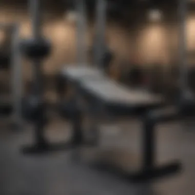 Close-up of rack and bench combination demonstrating resistance training.