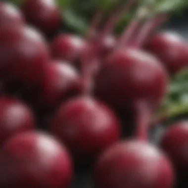 Close-up of fresh beetroot showcasing vibrant color and texture