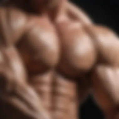 Understanding Biceps Anatomy Anatomical illustration of biceps muscle structure