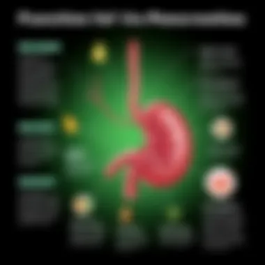 Infographic illustrating the pancreas's role in digestion and nutrient absorption
