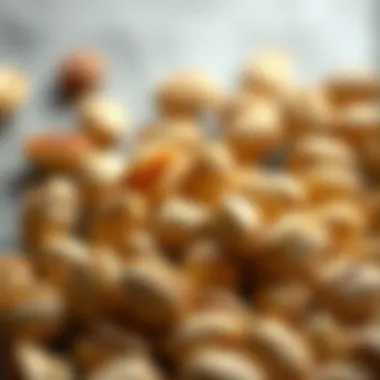 The Nutritional Value and Health Benefits of Pistachios Summary The Nutritional Value and Health Benefits of Pistachios Summary