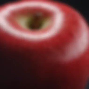 A close-up of an apple highlighting its texture and freshness.