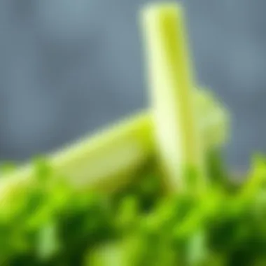 Notable The Role of Celery in Weight Loss: A Scientific Perspective Notable The Role of Celery in Weight Loss: A Scientific Perspective